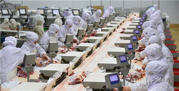 通辽 打造世界最大牛肉中央厨房的投资管理之路